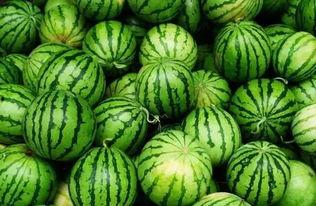 吃瓜群手机壁纸,揭秘网络社交的趣味与潮流